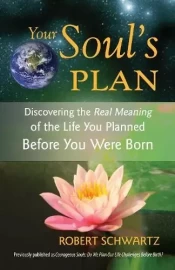 Your Soul's Plan by Robert Schwartz - Pre-loved